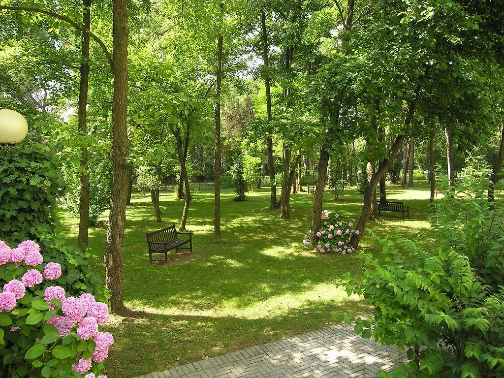 Apartment Pine Wood Bibione 0*,